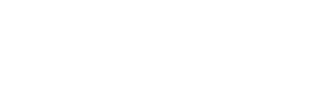 Professional Business Network Association